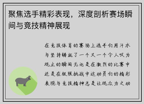 聚焦选手精彩表现，深度剖析赛场瞬间与竞技精神展现