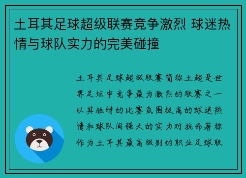土耳其足球超级联赛竞争激烈 球迷热情与球队实力的完美碰撞
